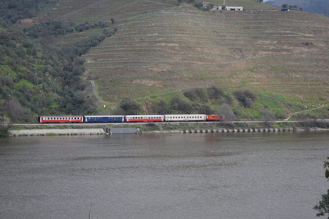 Douro Valley Tour with Train and Vinho Verde - Practical Tips for Travelers