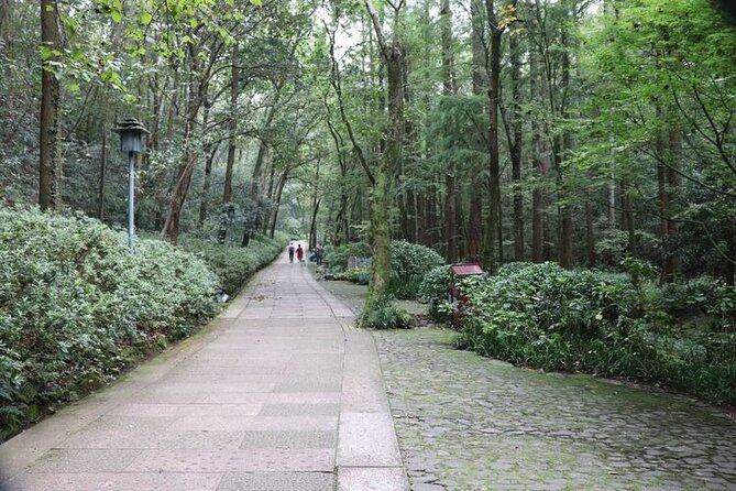 Hangzhou Jiuxi and Tea Village Hiking Trip from Shanghai By Train - Why This Tour Offers Great Value