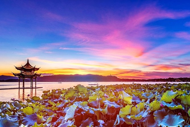 Hangzhou Private Customized Day Tour from Wuxi by Bullet Train - Longjing Tea Fields: A Taste of History and Nature