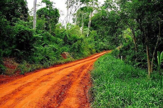 Iguazu Falls: Argentinian Side with Rainforest Ecological Train - Frequently Asked Questions