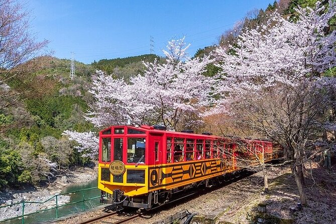 Kyoto Sagano Romantic Train in Arashiyama Bus Tour - The Practicalities: What You Need to Know