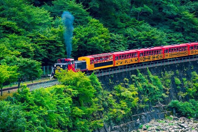 Kyoto Sansen-in Arashiyama Train 1 Day Tour from Osaka or Kyoto - Final Thoughts
