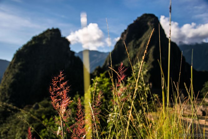 Machu Picchu Trips One Day Tour with Inca Rail Train from Cusco - Final Thoughts