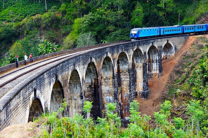 Nuwara Eliya journey by Train and car (2 Days with 01 Night) - Who Would Enjoy This Tour?