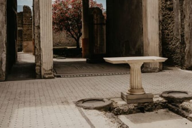 Pompeii Guided Tour with Train Included from Rome - Meeting Points and Logistics
