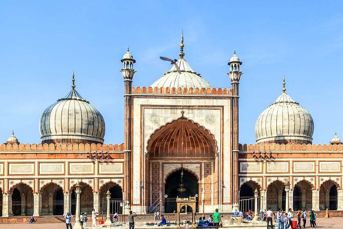 Private Full Day Old and New Delhi City Tour - FAQ