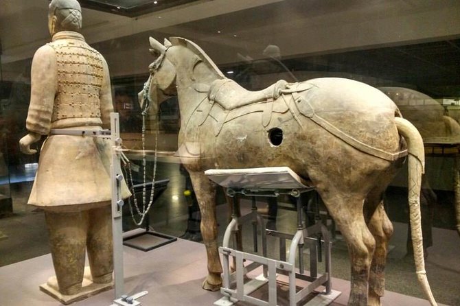 Private Lanzhou Bullet Train Trip to Xi'an: Terracotta Warriors and City Wall - Who is This Tour Best For?