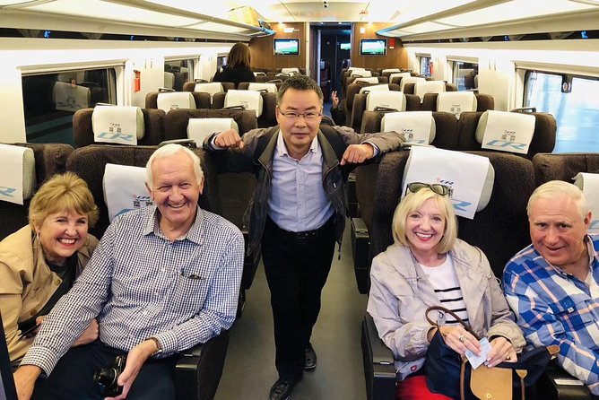 Private Tianjin Port Departure Transfer from Beijing by Bullet Train Experience - Whats Included and What to Consider