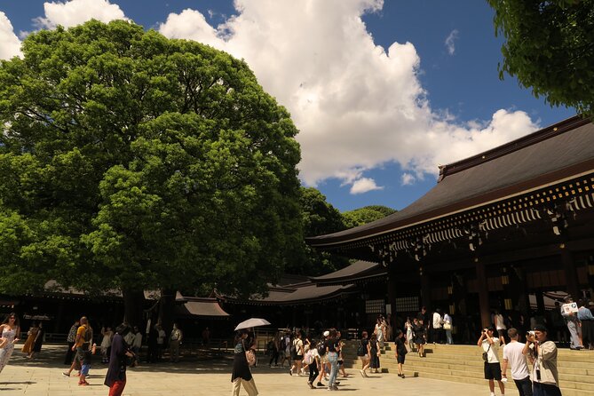 Private Tokyo Tour by subway w/Licensed English-speaking Guide - Final Thoughts