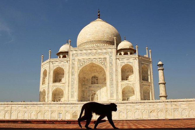 Taj Mahal and Agra Day-Trip from Delhi by Express Train - Exploring Agra Fort