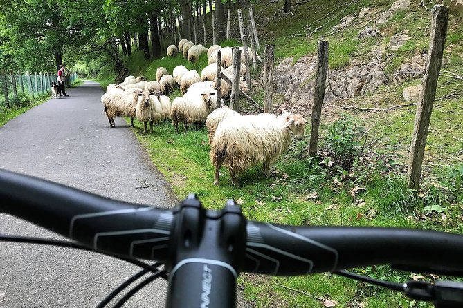 The Train Track Trail Mountain Bike Ride - Private experience - FAQ
