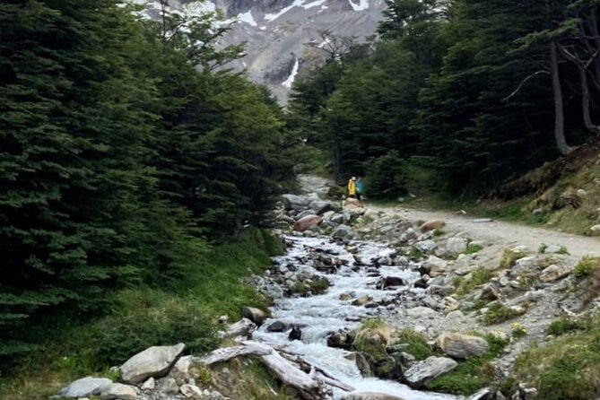 Tierra del Fuego National Park with End of the World Train - Who Should Consider This Tour?