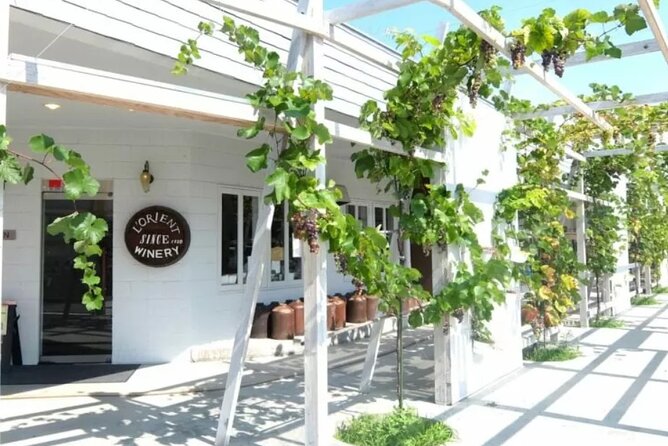 Train and Taxi Grape Temple and Winery Tour in Yamanashi - The Sum Up