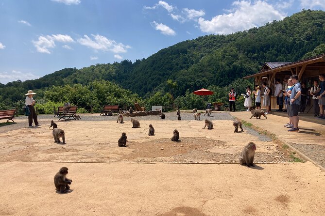 West Kyoto & Arashiyama: Walking 1Day Tour w/Matcha & Calligraphy - The Value of a Small Group Tour