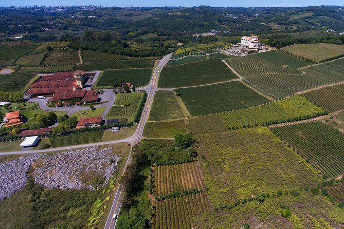 Wine Taste Tour With Maria Fumaça Train Ride - Analyzing the Value