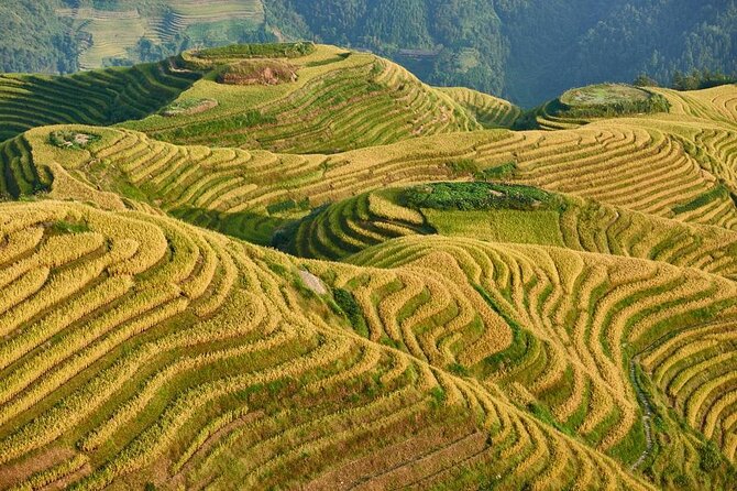 4-Day Guilin Scenic,Yangshuo Countryside and Longji Rice Terraces Discovery - Exploring Guilin: The Gateway to Natural Splendor