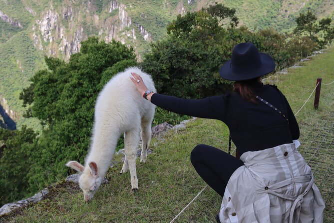 2-Day Tour of the Sacred Valley and Machu Picchu by Train - The Sum Up