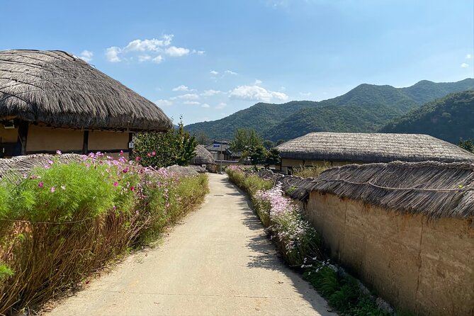 Andong Hahoe Village & Face mask show from Busan - Final Thoughts: Is This Tour Right for You?