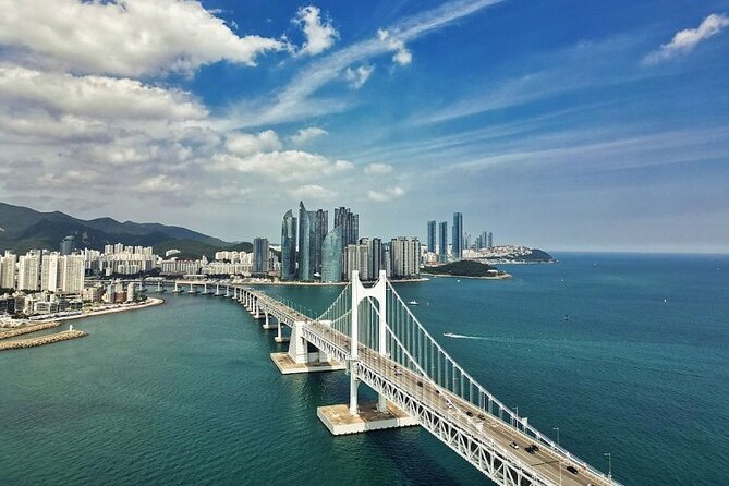 Busan Day Trip from Seoul by KTX - Private Tour with Local Guide - The Sum Up: A Well-Rounded, Authentic Day in Busan