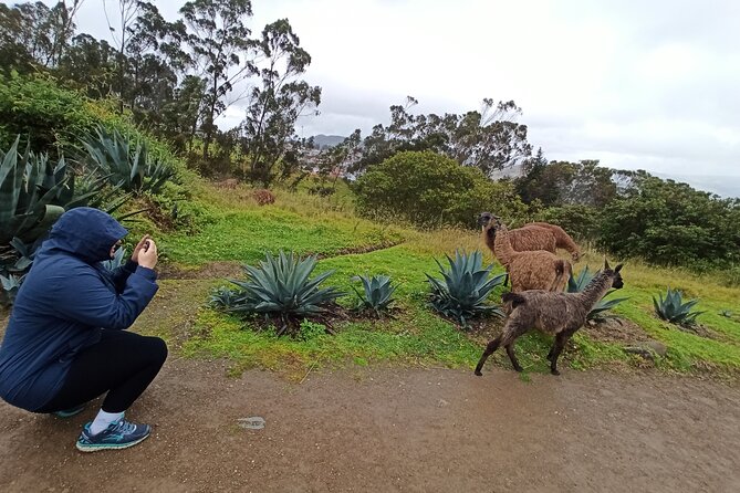 Devil´s Nose Viewpoint and Ingapirca Ruins tour from Cuenca - The Sum Up