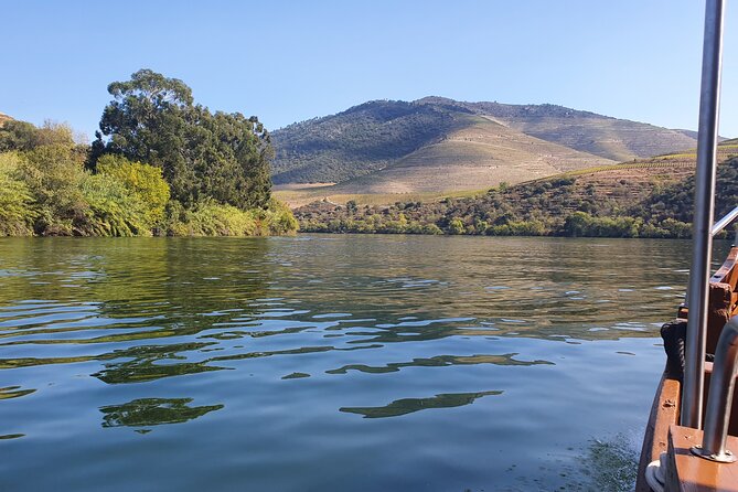 Douro Valley Tour with Train and Vinho Verde - The Sum Up