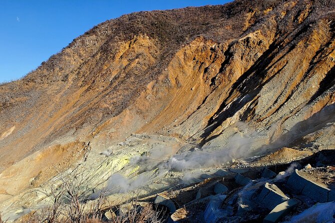 Guided Mt. Fuji & Hakone Tour Bullet Train Return GREEN NUMBER - Who Is This Tour Best Suited For?