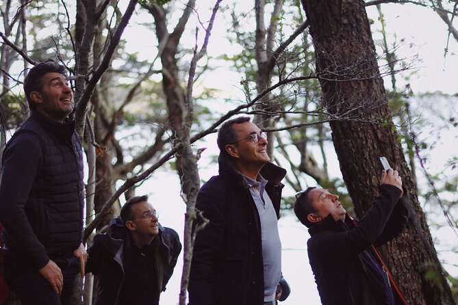 Half-Day Tierra del Fuego National Park with Train - FAQs: Your Practical Questions Answered