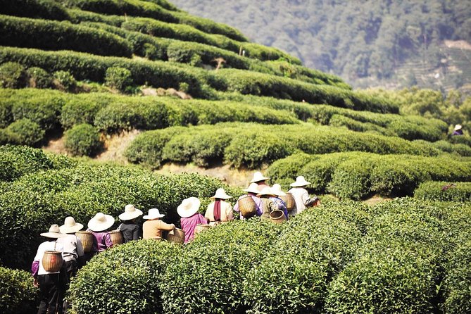Hangzhou City Tour With Alibaba Visiting From Shanghai by Bullet Train - FAQs