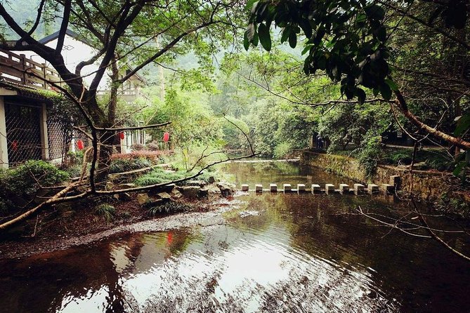 Hangzhou Jiuxi and Hupao Spring Hiking Day Trip from Shanghai by Bullet Train - What Do the Reviews Say?