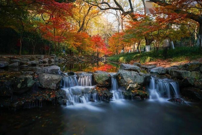 Hangzhou Jiuxi and Tea Village Hiking Trip from Shanghai By Train - Who Would Love This Tour?
