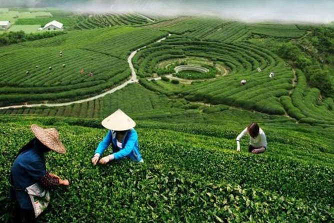 Hangzhou Private Customized Day Trip from Shanghai by Bullet Train - Returning to Shanghai: Efficient and Comfortable