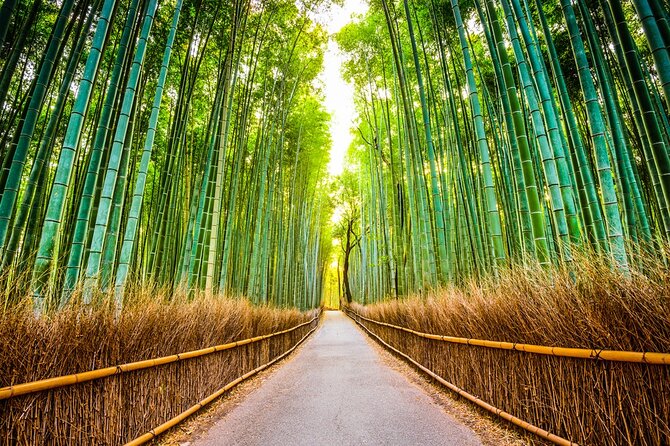 Kyoto Sansen-in Arashiyama Train 1 Day Tour from Osaka or Kyoto - FAQ