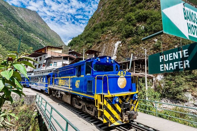 Machu Picchu 1-Day By Panoramic Vistadome Train - Who Should Consider This Tour?