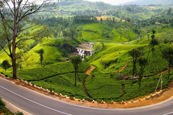 Nuwara Eliya journey by Train and car (2 Days with 01 Night) - The Sum Up