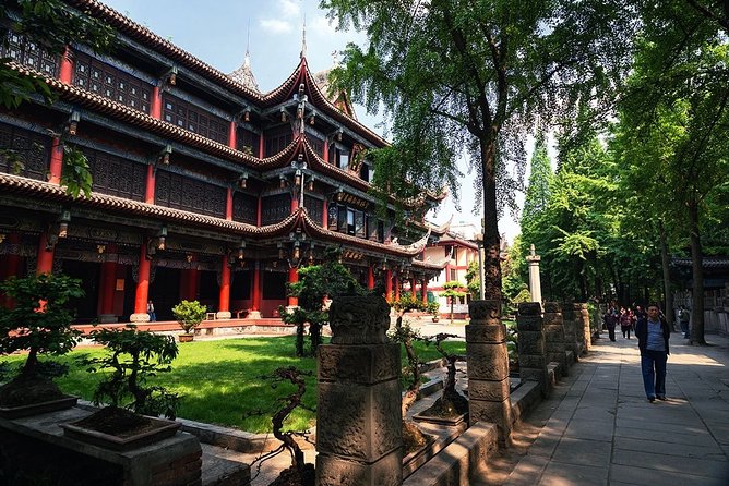 Private Chengdu Highlights Day Trip: Panda Base and City from Chongqing by Train - Who Will Love This Tour?