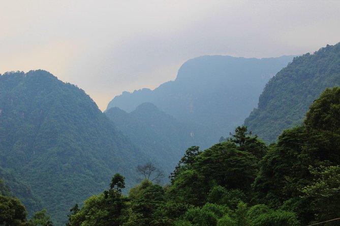 Private Day Tour: Mount Emei Tour by high-speed train from Chengdu - The Sum Up