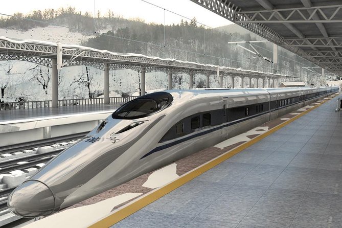 Private Pingyao Bullet Train Trip to Xi'an: Terracotta Warriors and City Wall - Frequently Asked Questions