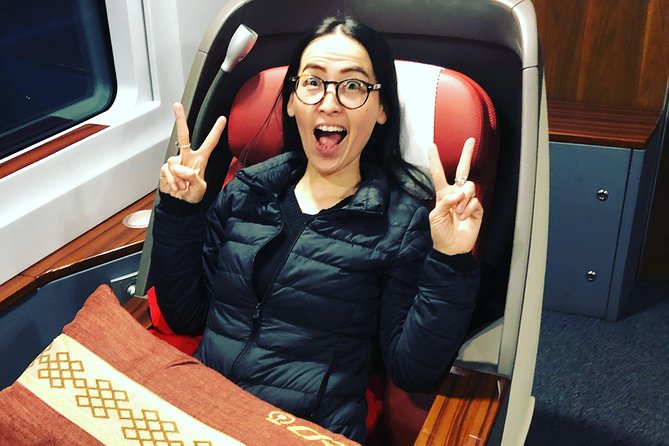 Private Tianjin Port Departure Transfer from Beijing by Bullet Train Experience - Why This Transfer Stands Out