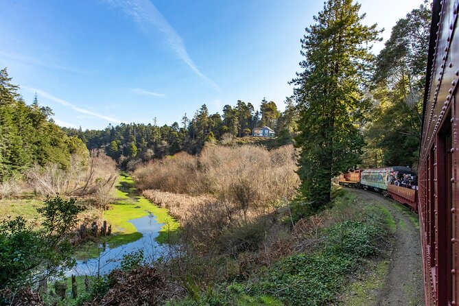 Skunk Train: Pudding Creek Express from Fort Bragg - Introduction