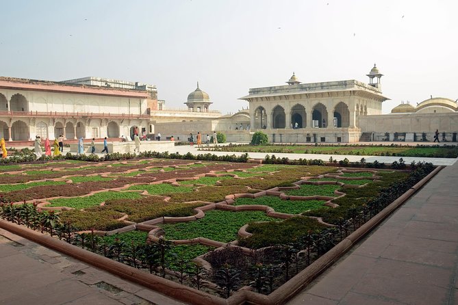 Taj Mahal Tour By Express Train from Delhi - What Reviewers Say