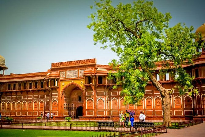 Taj Mahal Tour by Gatimaan Train/Rail All Inclusive - Timing and Duration: How the Day Unfolds