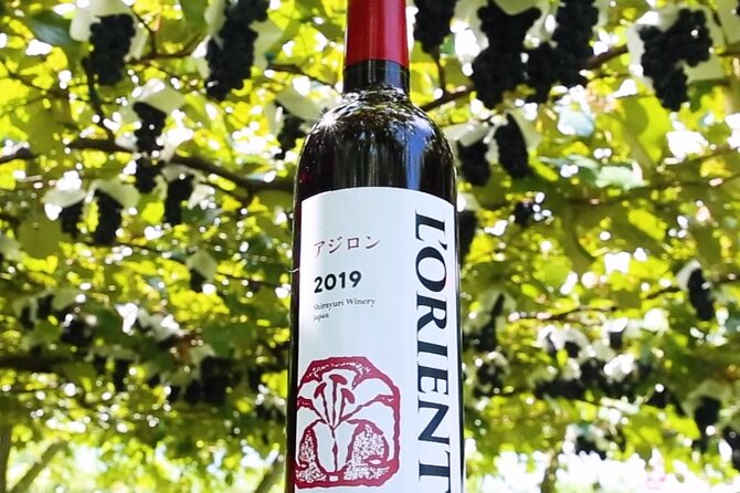 Train and Taxi Grape Temple and Winery Tour in Yamanashi - FAQ