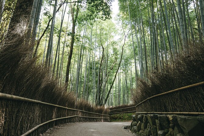 West Kyoto & Arashiyama: Walking 1Day Tour w/Matcha & Calligraphy - Who Should Consider This Tour?