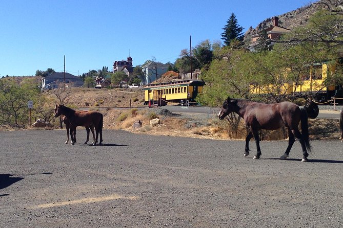 Wild West Day Trip to Virginia City from Tahoe with Train Ride - Practical Tips for Tour Participants