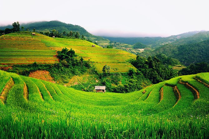 3 Days Sapa Tour with Night Train from Hanoi - FAQ