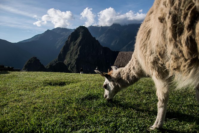 Day Trip to Machu Picchu by Train - Timing and Logistics: The Early Start