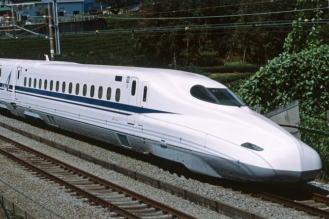 From Tokyo 1-Day Kyoto English-guided Tour by Bullet Train - The Sum Up