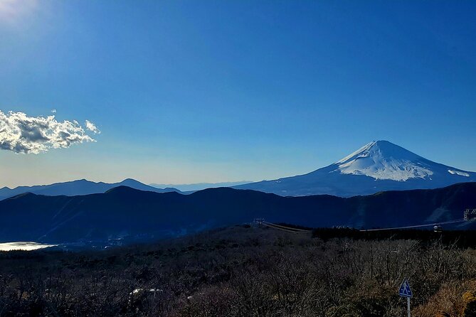 Guided Mt. Fuji & Hakone Tour Bullet Train Return GREEN NUMBER - Final Thoughts