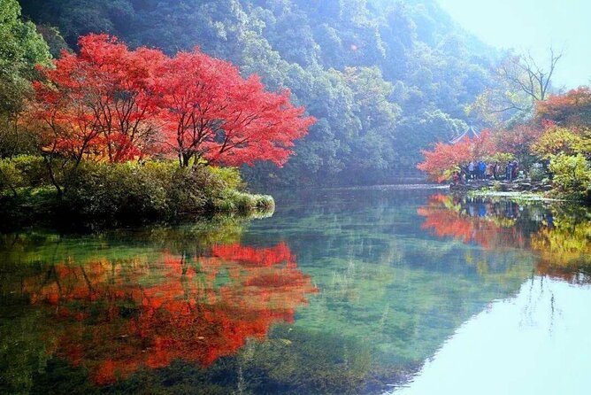 Hangzhou Jiuxi and Tea Village Hiking Trip from Shanghai By Train - Final Thoughts: Is It Worth It?