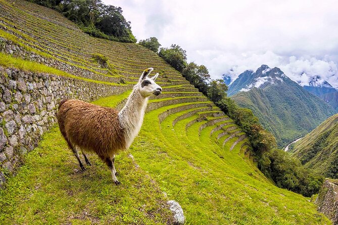 Humantay Lake, Machu Picchu by train and Rainbow Mountain 3 days in Cusco - Final Thoughts